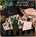 Snail Mail- Archive Anonymous